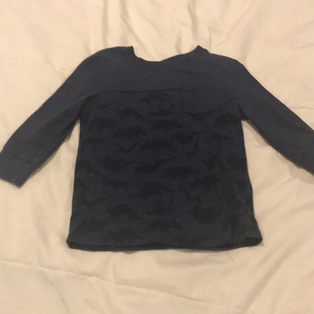 Cat & Jack dino shirt